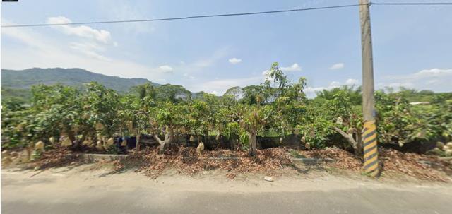 台南南化法拍農地-9