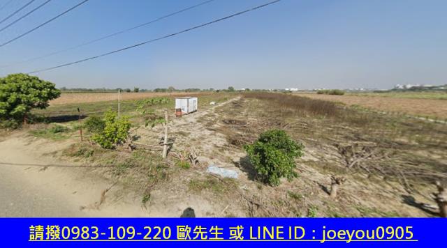 嘉義民雄農地法拍-11