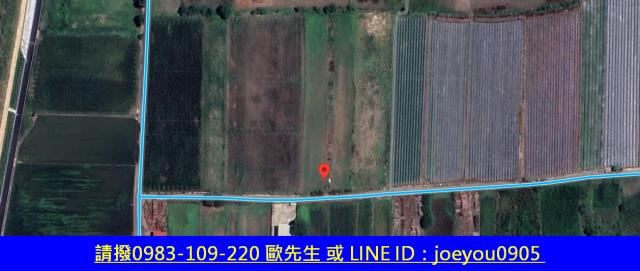 嘉義民雄農地法拍-9