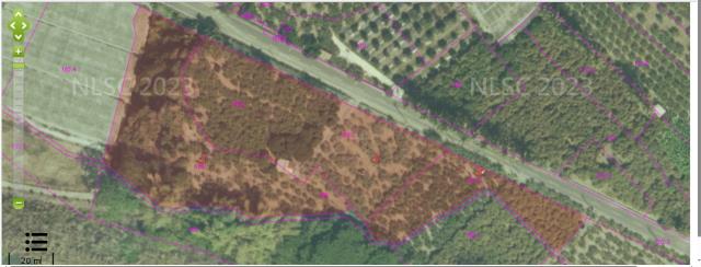 台南南化法拍農地-3