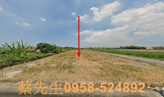 屏東萬丹農地法拍-4