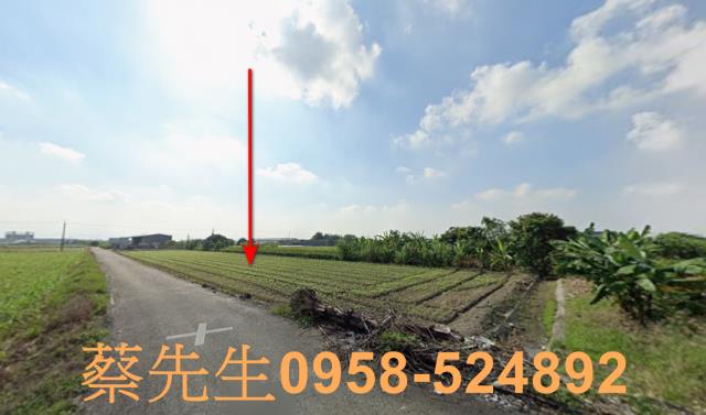 屏東萬丹農地法拍-7