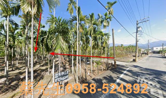 屏東潮州法拍農地-12