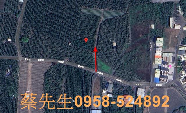 屏東潮州法拍農地-15