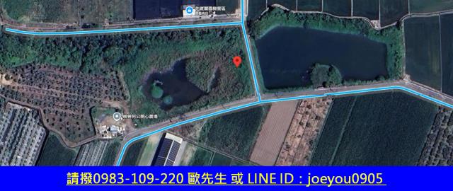 柳營農地拍賣-9