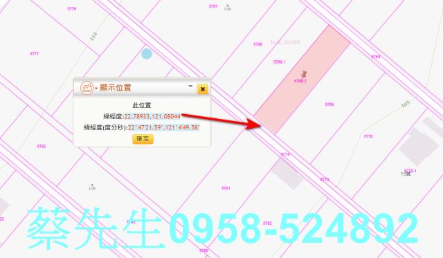 卑南農地拍賣-10