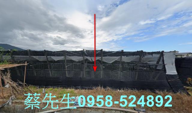 卑南農地拍賣-1