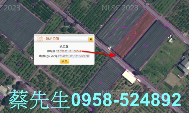 卑南農地拍賣-3