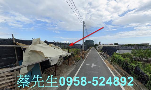 卑南農地拍賣-7