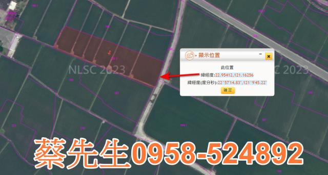 鹿野法拍農地-11