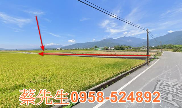 鹿野法拍農地-14