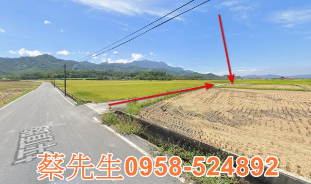 鹿野法拍農地-15