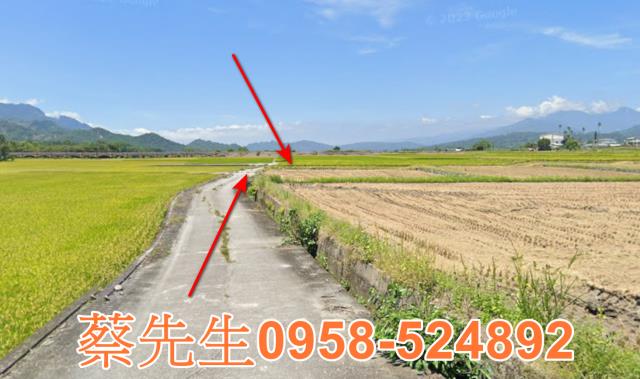 鹿野法拍農地-1