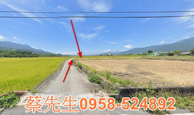 鹿野法拍農地-4