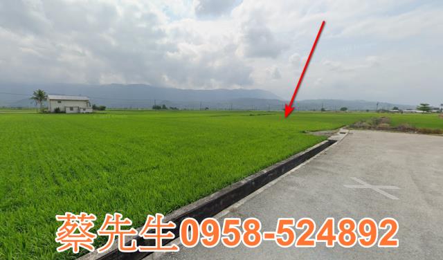 關山農地法拍-13