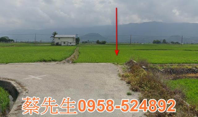 關山農地法拍-14