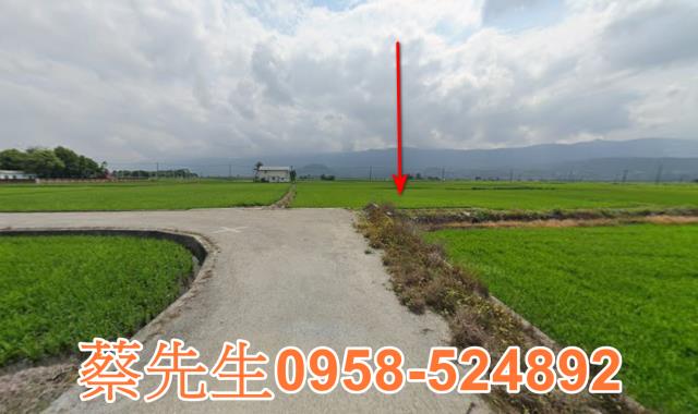 關山農地法拍-15