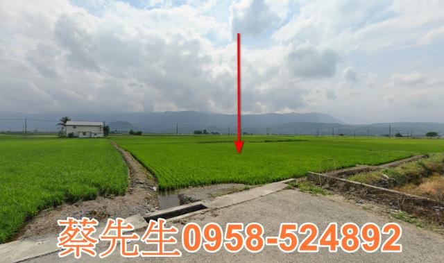 關山農地法拍-1