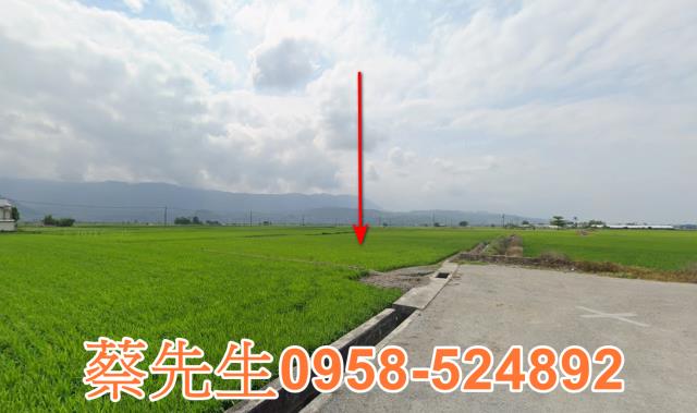 關山農地法拍-4