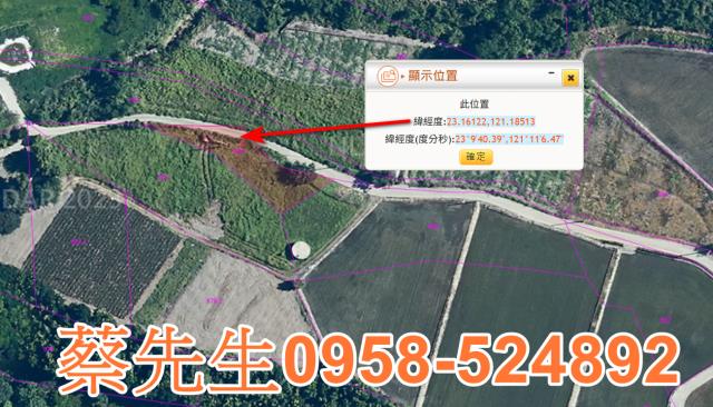 海端農地拍賣-3