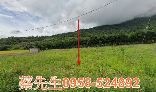 海端農地拍賣-9