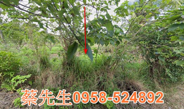 東河法拍農地-13