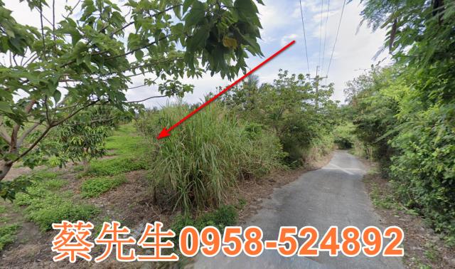 東河法拍農地-4