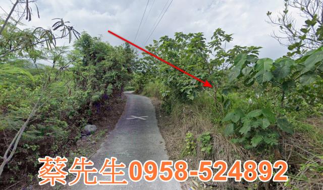 東河法拍農地-7