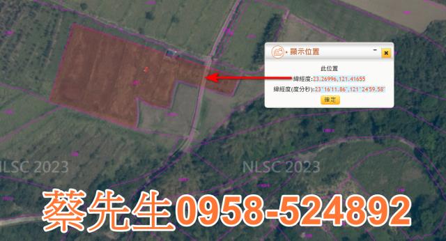 長濱農地法拍-11