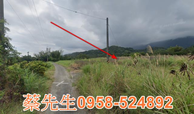 長濱農地法拍-13