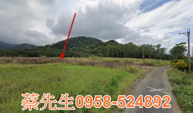 長濱農地法拍-14