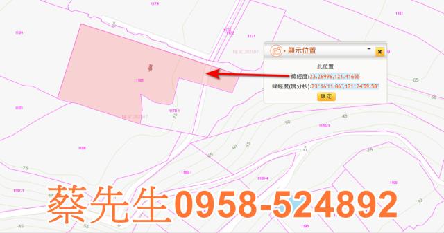 長濱農地法拍-2