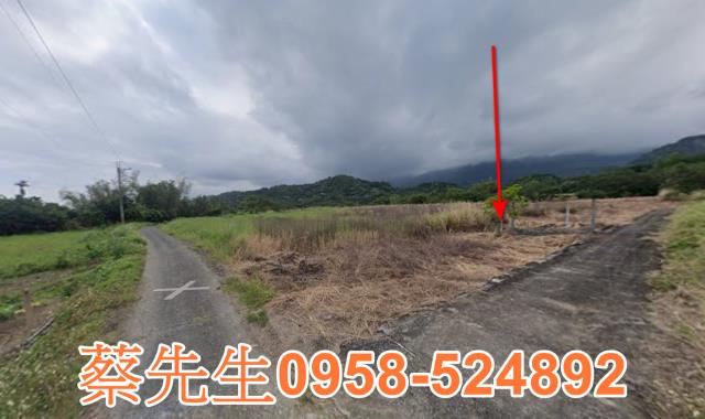 長濱農地法拍-4