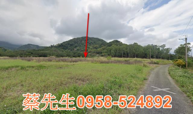 長濱農地法拍-7