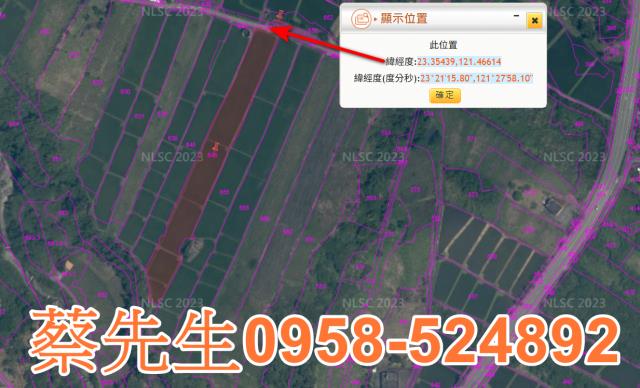 長濱農地拍賣-11