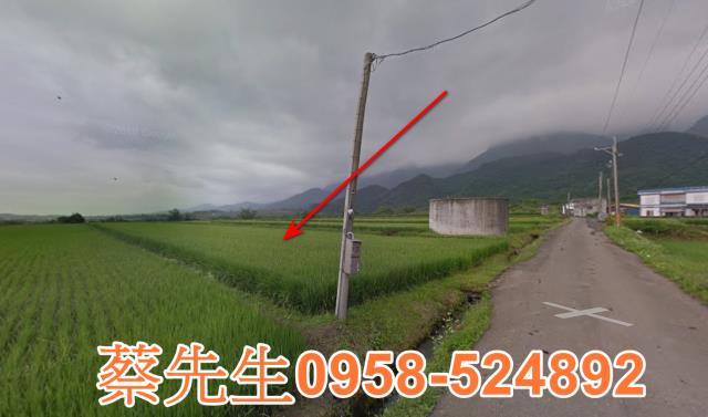 長濱農地拍賣-12