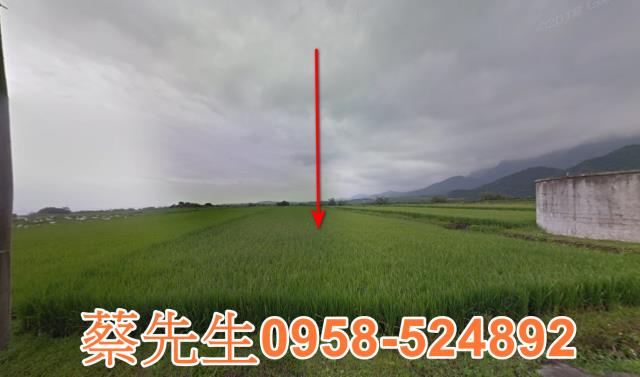 長濱農地拍賣-1