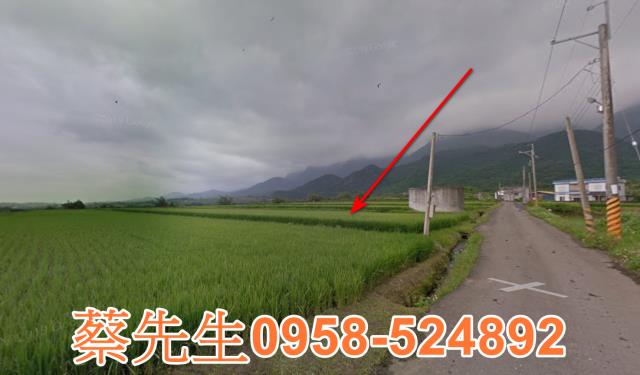 長濱農地拍賣-5