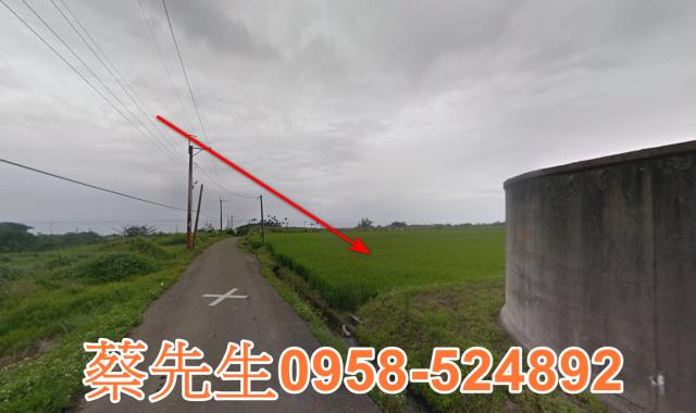 長濱農地拍賣-6