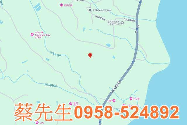 長濱農地拍賣-8