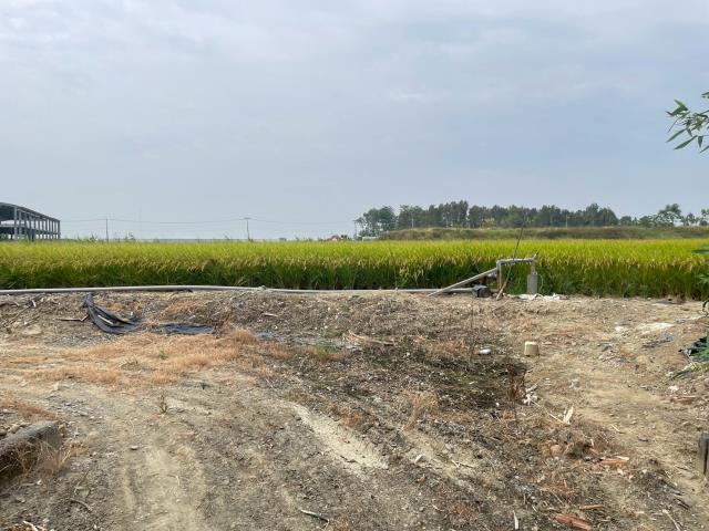 嘉義農地-4