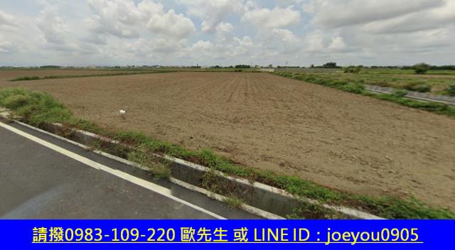 台南鹽水法拍農地-10