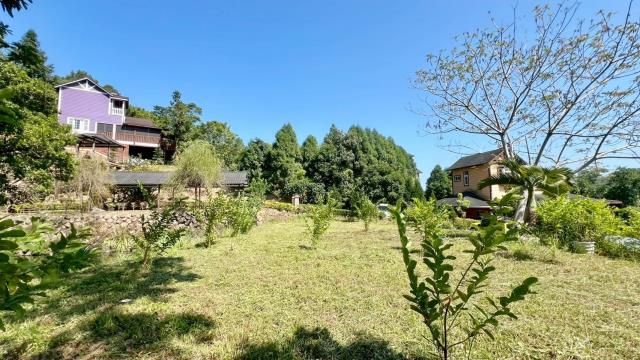 新竹橫山農地-1