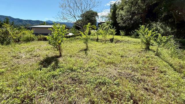 新竹橫山農地-9