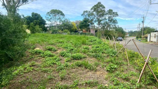 新竹竹東農地-3