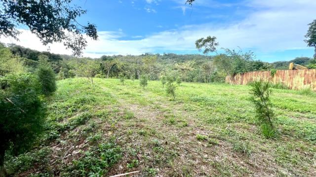 新竹竹東農地-5