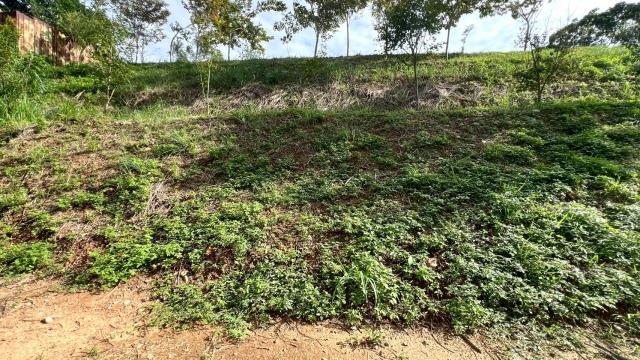 新竹竹東農地-13