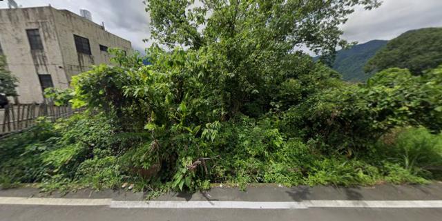 泰安農地法拍-9