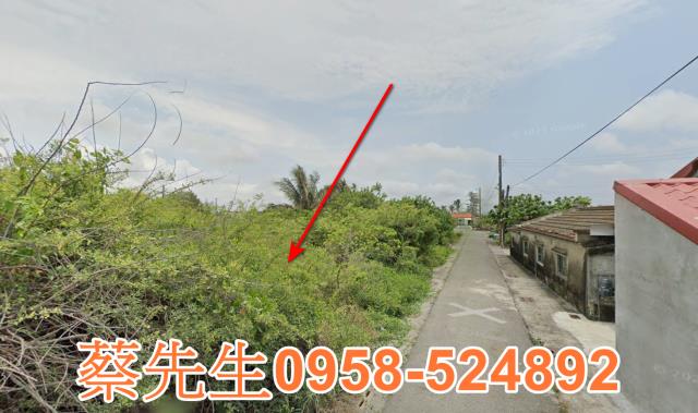 將軍建地法拍-4