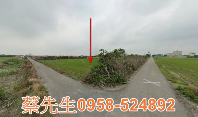 芳苑農地法拍-1